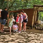 Mobil-home 5 Personnes Avec Terrasse Et Cuisine équipée - Api-1-52-1148 Campeggio *